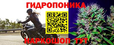 гидропоника Краснокаменск