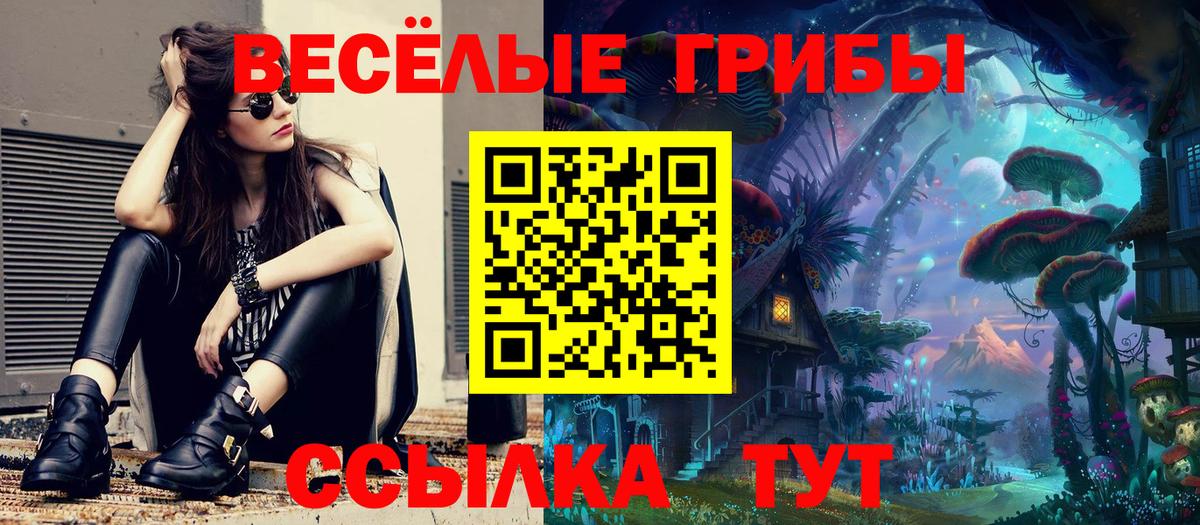 Галлюциногенные грибы GOLDEN TEACHER Клинцы