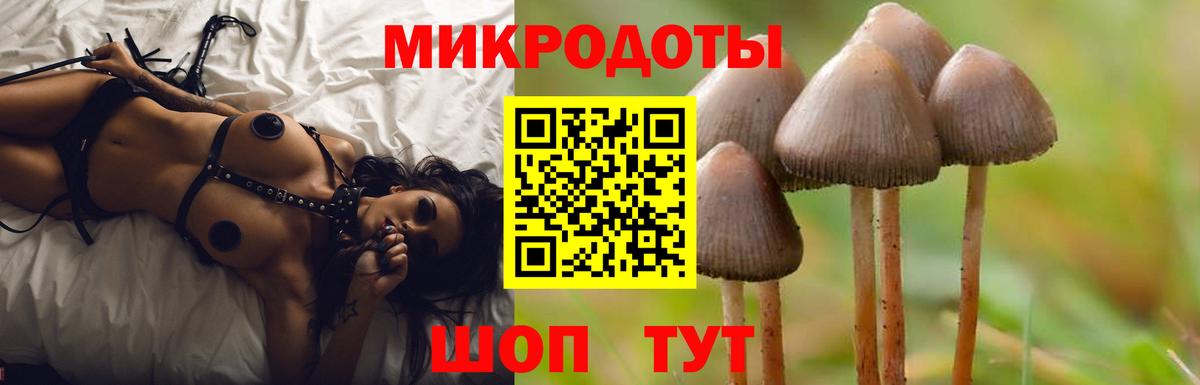 Клинцы  Псилоцибиновые грибы Psilocybine cubensis  Вход с VPN 